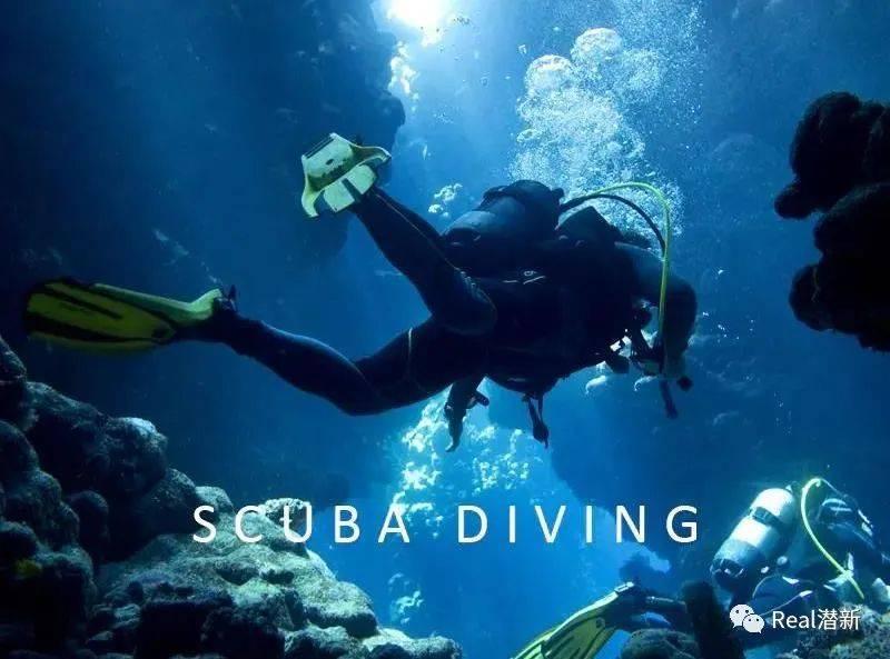 海盗的寻宝之旅